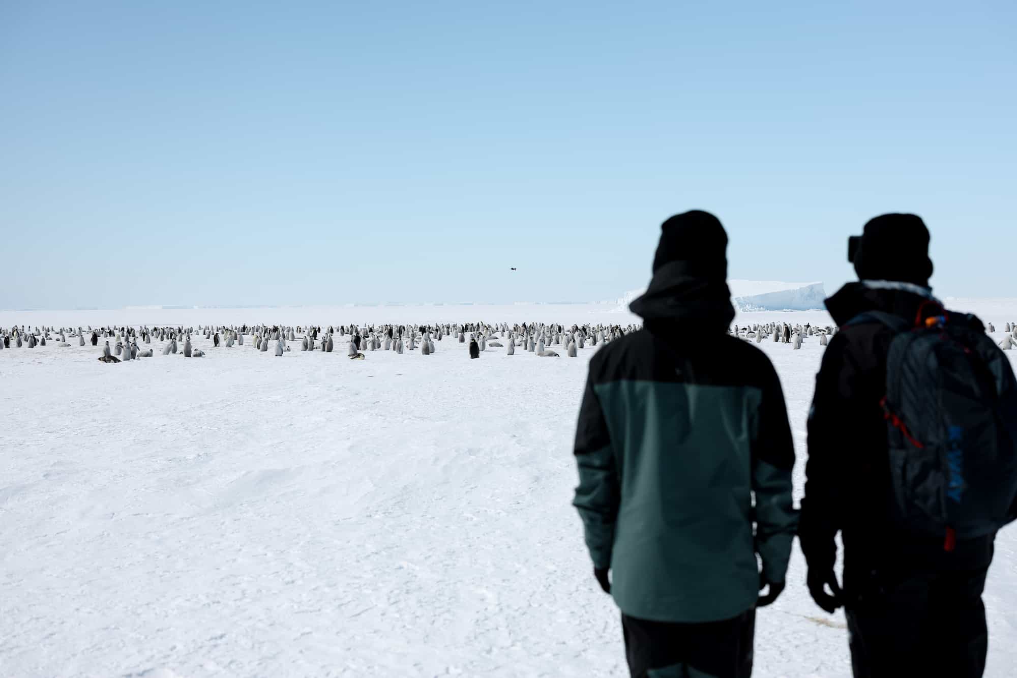 South Pole & Penguins